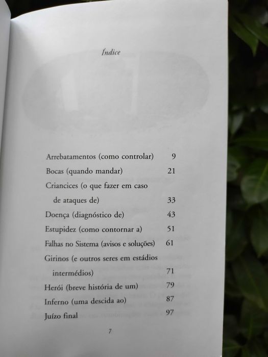 Uma Questão de Cor (Ana Saldanha)