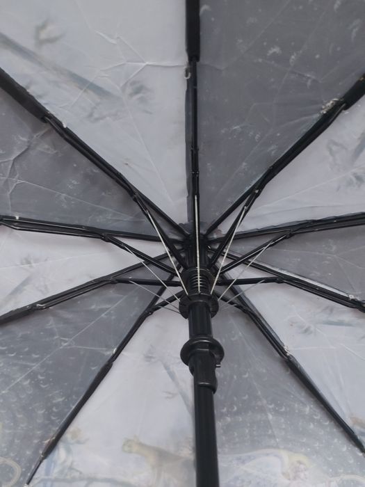 Парасолька, зонт фірми Pasio umbrella