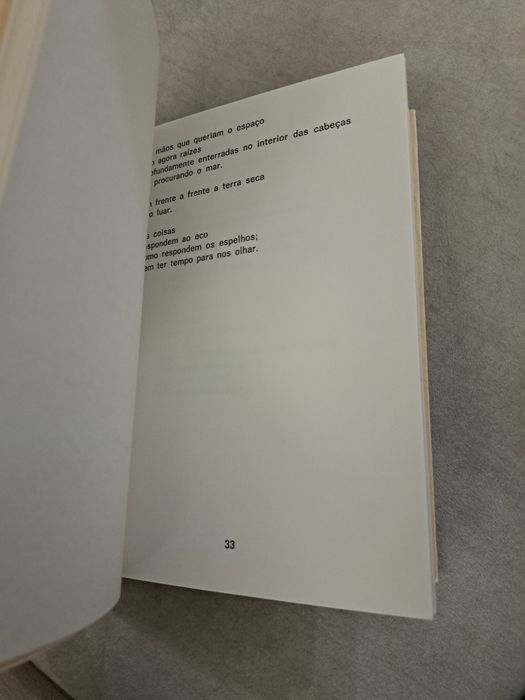 Livro Eu Falo em Chamas de Cruzeiro Seixas