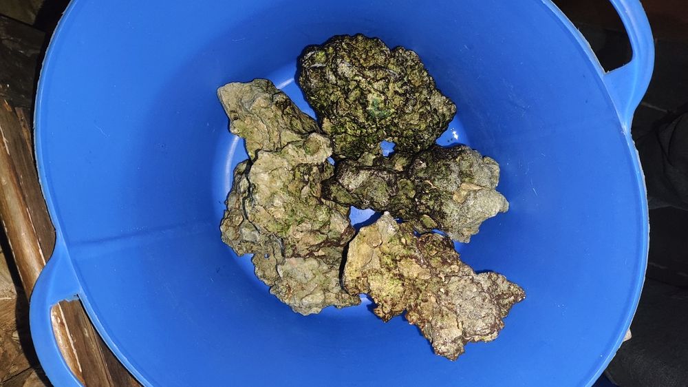 Rocha e areia Sansibar