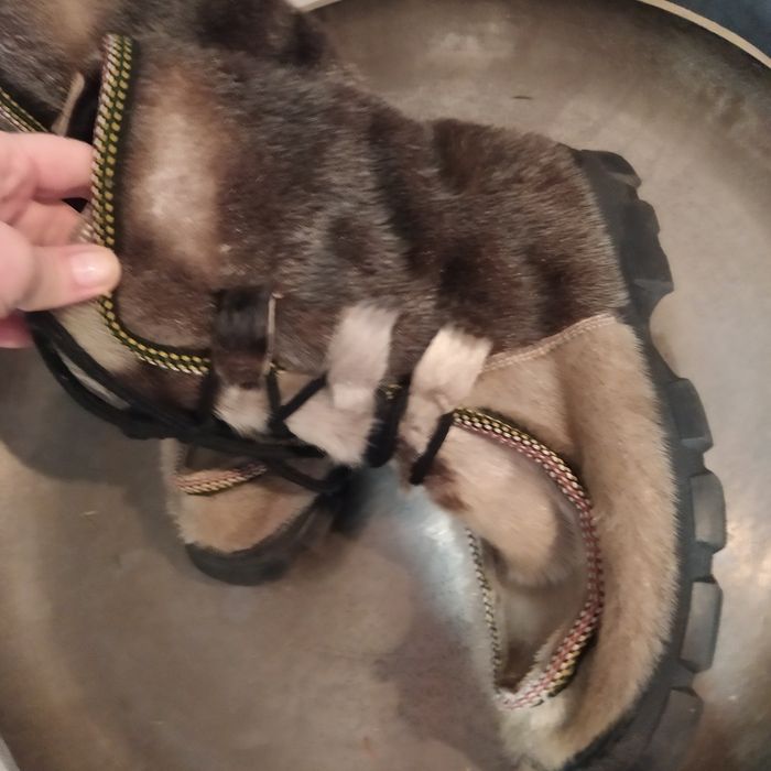 Buty zimowe śniegowce