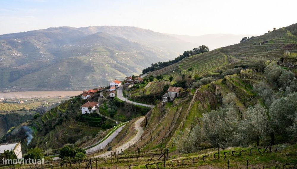 Quinta Vinicola em Vila Marim, Mesão Frio, Douro Valley