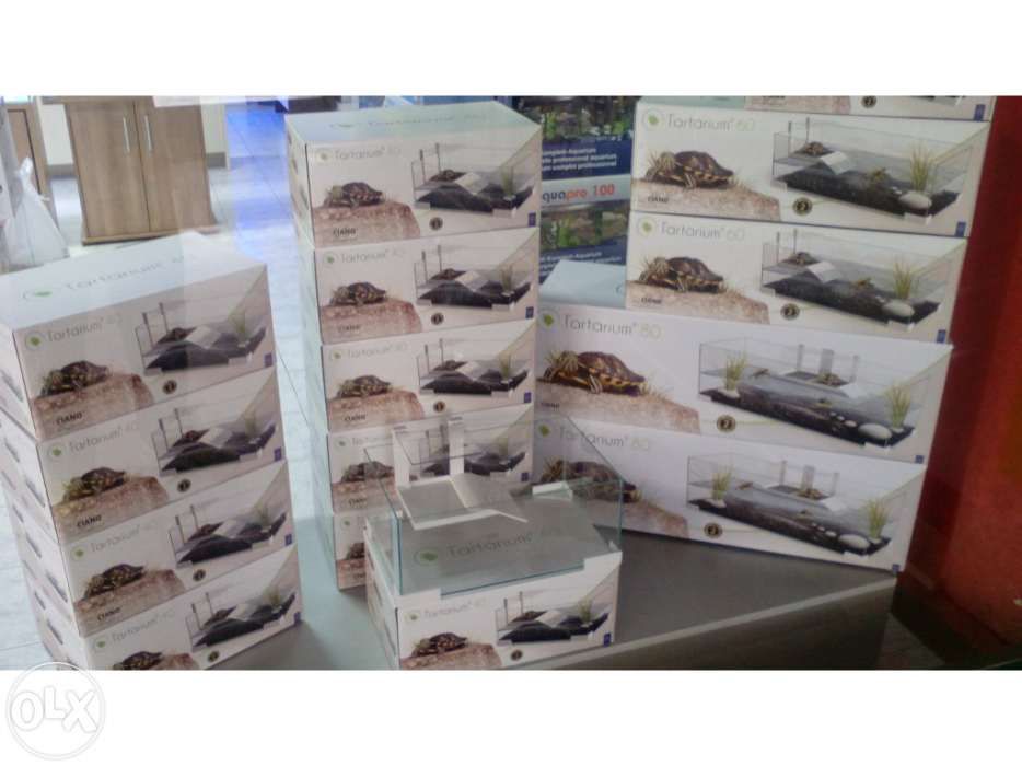 Aquario Tartarugueira tartarium nova 60cm ciano