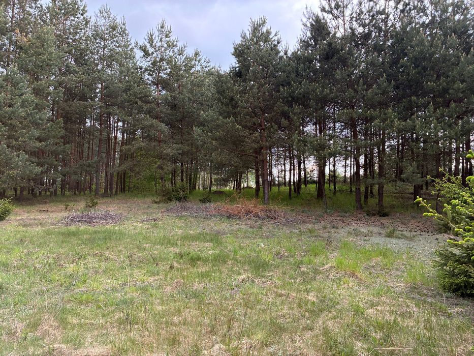 Działki budowlane 1000–1300 m².  Cisza + zieleń Kolonia Ostrowicka - Widok 6