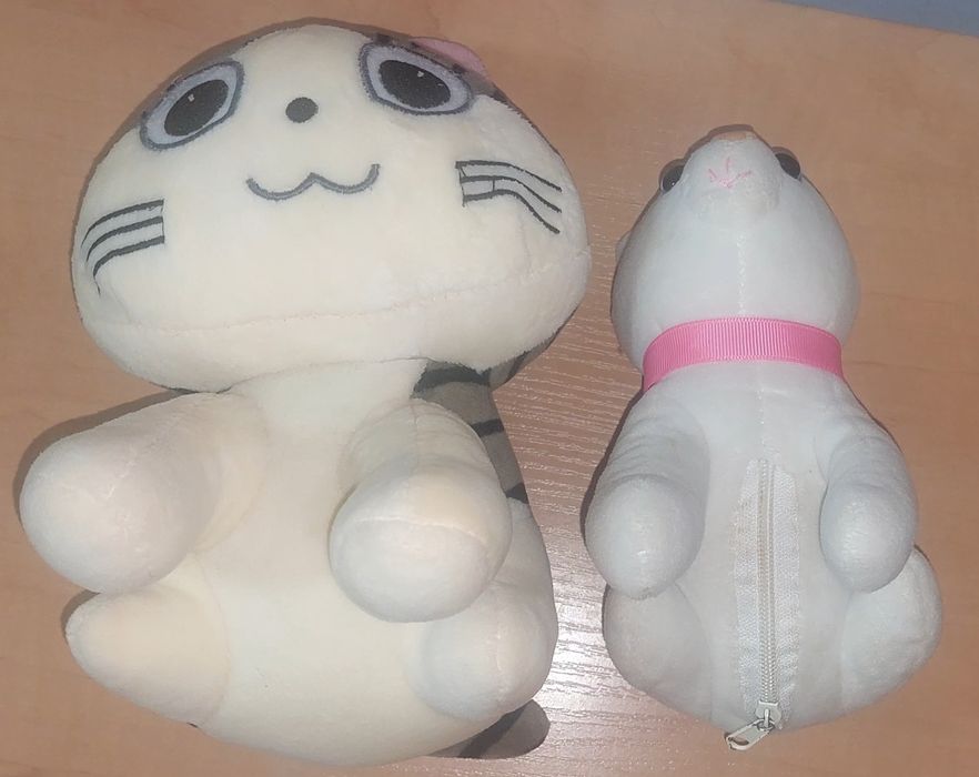 Красиві м'які киці