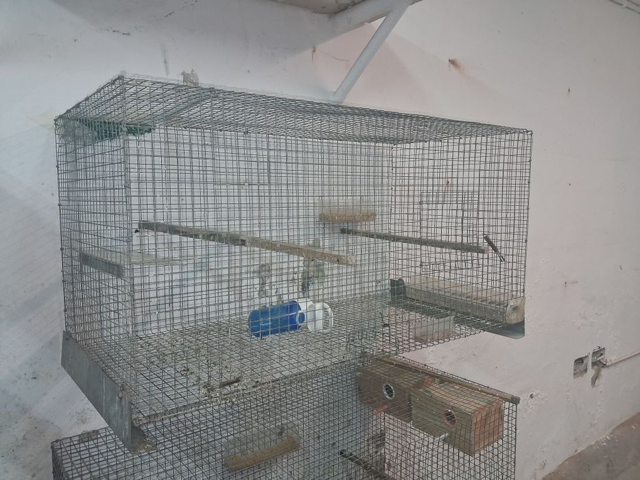 Vendo gaiolas  Bom preço