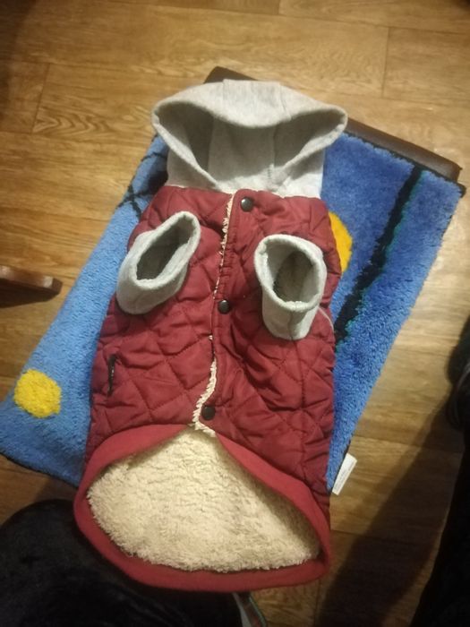 Комбінезон для собак.