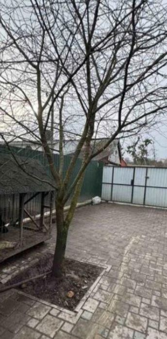 Продам дом на Короленка.