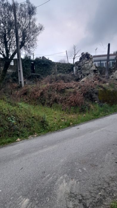 Terreno rustico- celorico de basto