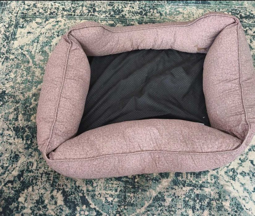 Cama em bom estado para cães