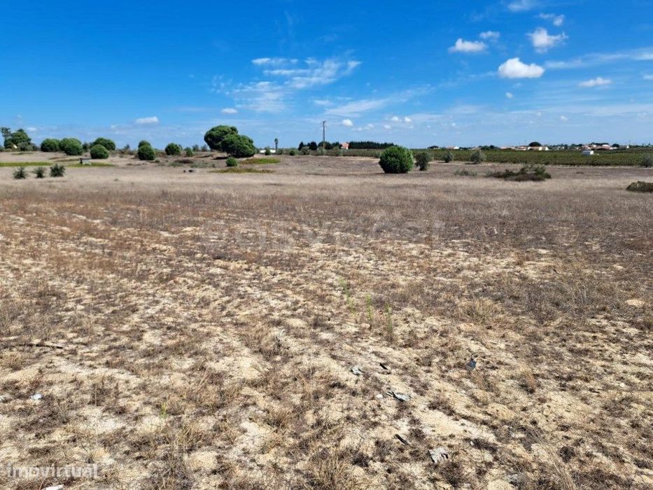 6 lotes de Terreno com 7830mts2 cada, vendidos em conjunto