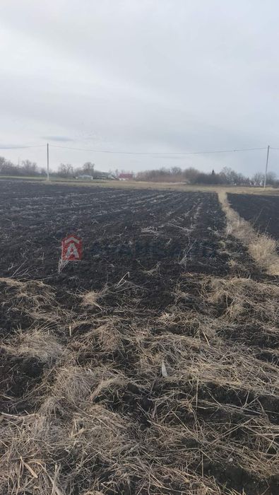 Земельна ділянка 20сот. с.Мар'янівка