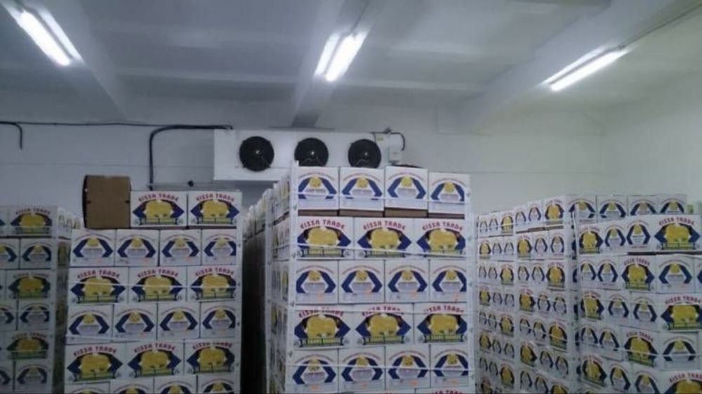 Продажа складского помещения с земельным участком – pohled 3