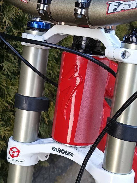 Specialized demo 8 2015