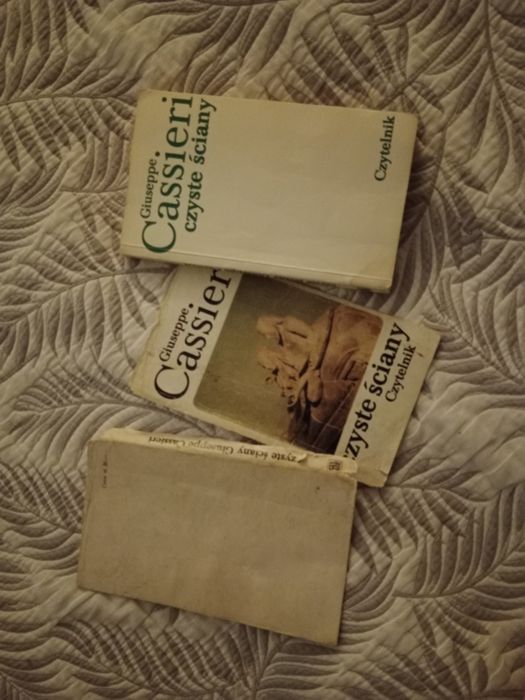 Giuseppe Cassieri. Czyste ściany