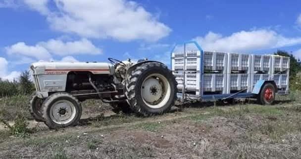 Serviços Agrícolas