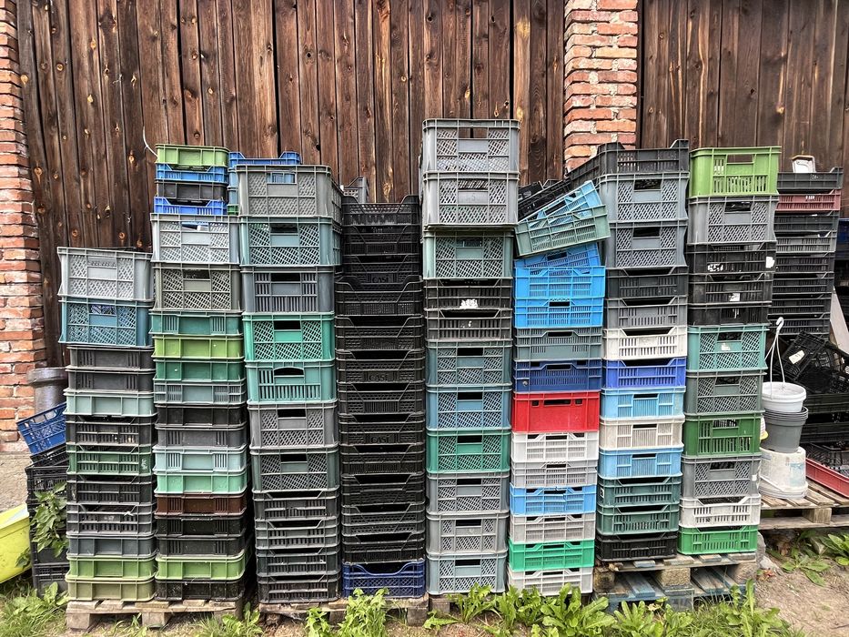 Skrzynki plastikowe 15KG /10KG