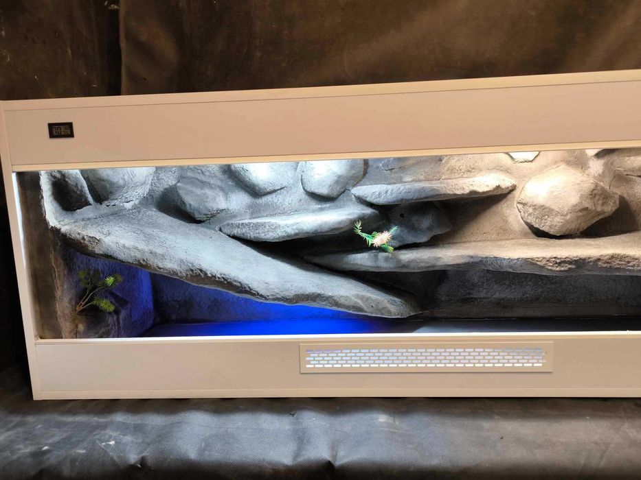 Terrarium pustynne agama gekon wąż zbożowy