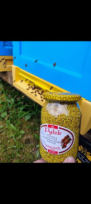Pyłek pszczeli 6 słoików 0.9l 2026r