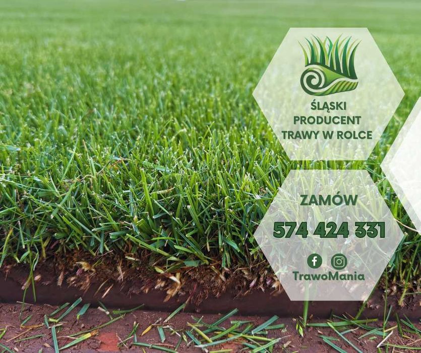 *** TrawoMania - trawa z rolki prosto od producenta ***
