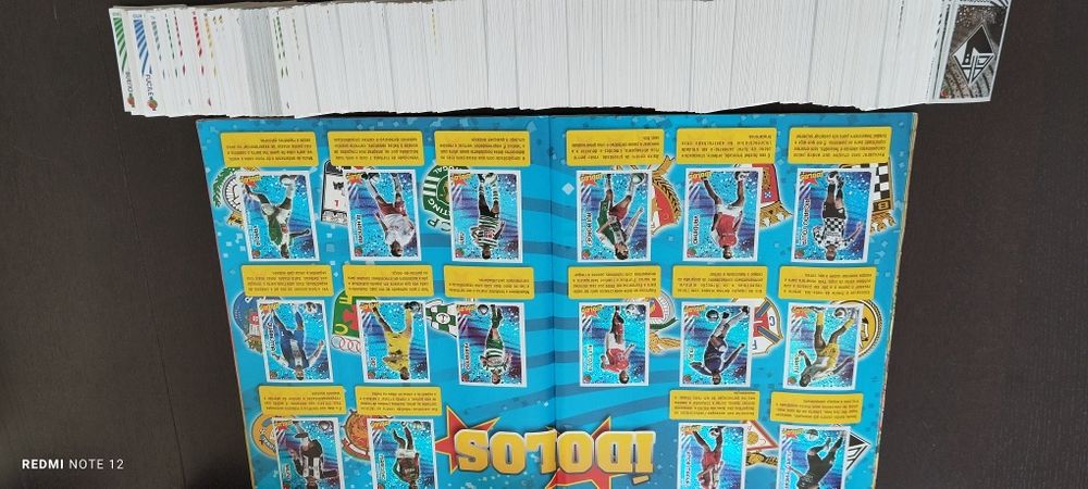 Panini 2006/2007     Euro 2008