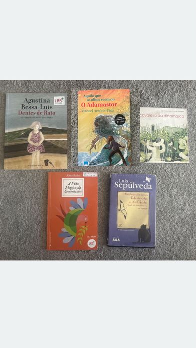 Livros de leitura obrigatória