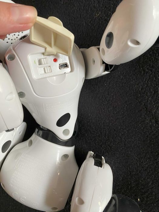 Cão Zoomer eletrônico - Robot Interativo