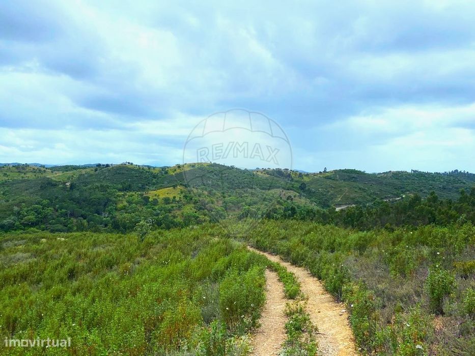 Terreno  para venda — Santana da Serra, Beja