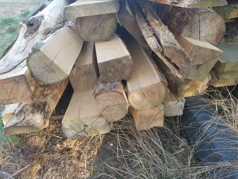 Slupki  akacjowe,  debowe  okantowane