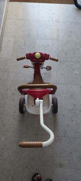 Triciclo evolutivo iimo