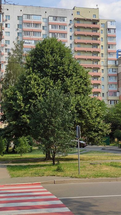 Світла 43м2 квартира-студіо в затишному районі.