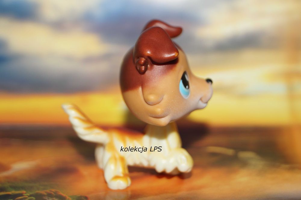 LPS Littlest Pet Shop collie #58 Sage oryginalny pop oryginał paw up