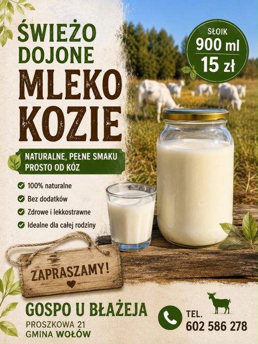 Przejażdżki bryczką kucykami. Konie. Bryczka kuce kucyki