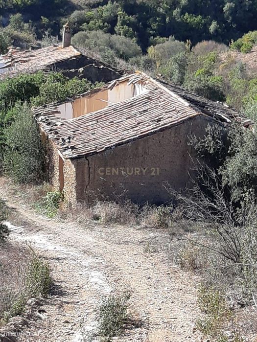Terreno Misto | 14Ha Com Sobreiros | São Barnabé-Almodôvar — São Barnabé, Beja