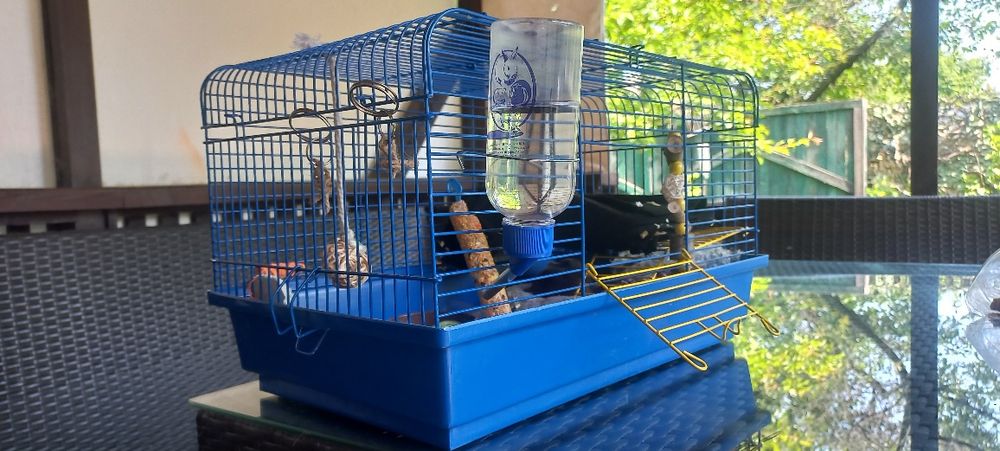 Клітка для гризунів(щури, хом'як, миші)