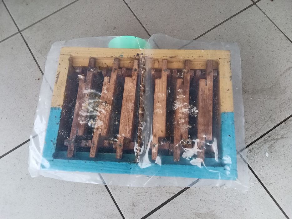 Продам Нуклеуси Двухмісні