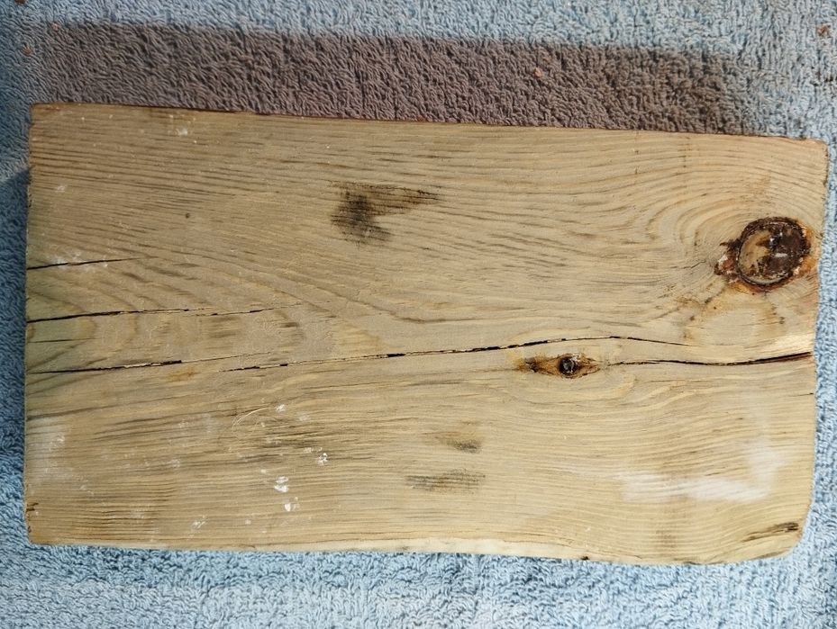 Drewniane formikarium dla mrówek 22x12[cm]