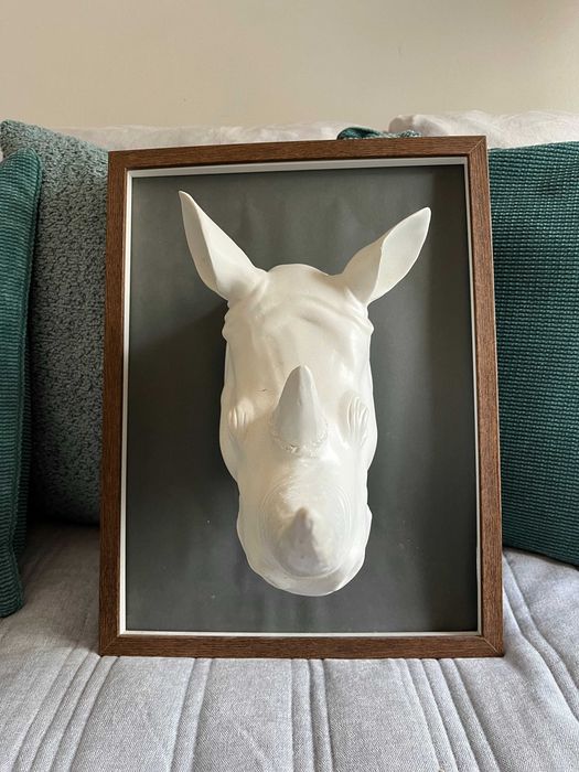 Quadro Rinoceronte