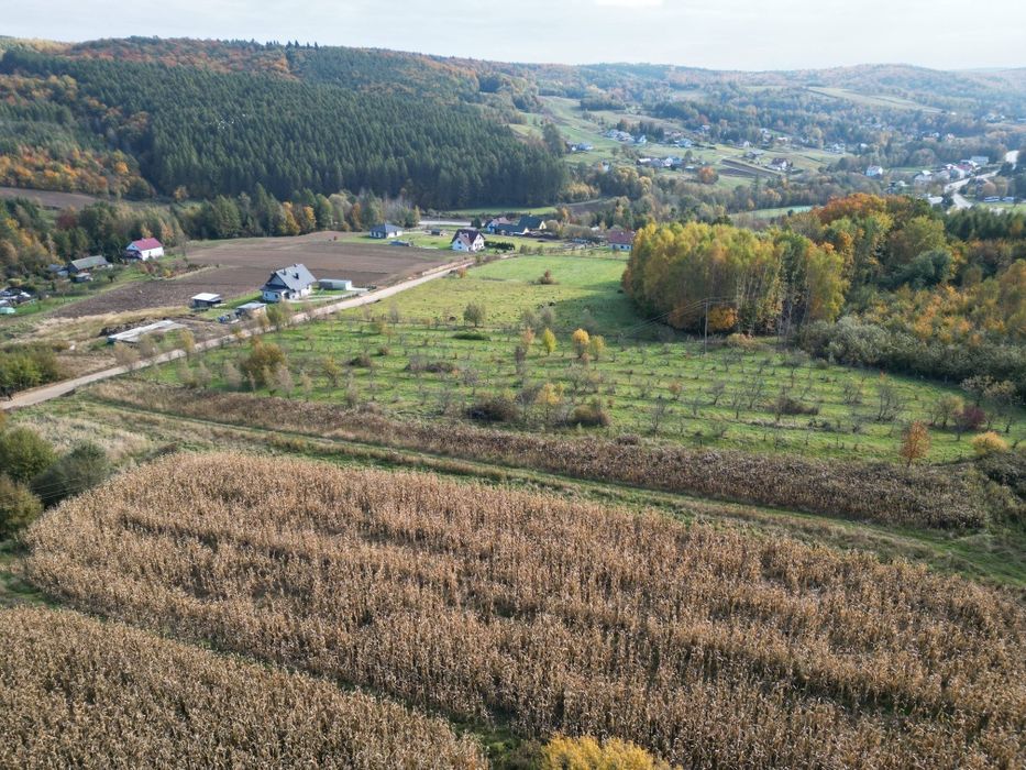 Działka 26 ar w Pruchniku Górnym ul. Miodowa zdjęcia z drona - Widok 5