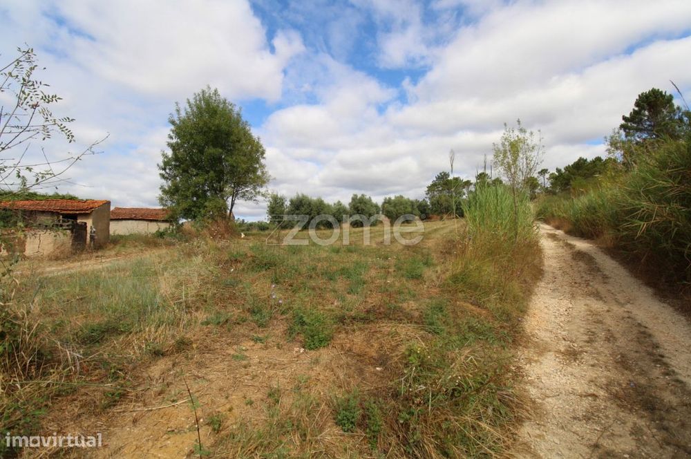 Terreno para Contrução | Eiras |Coimbra