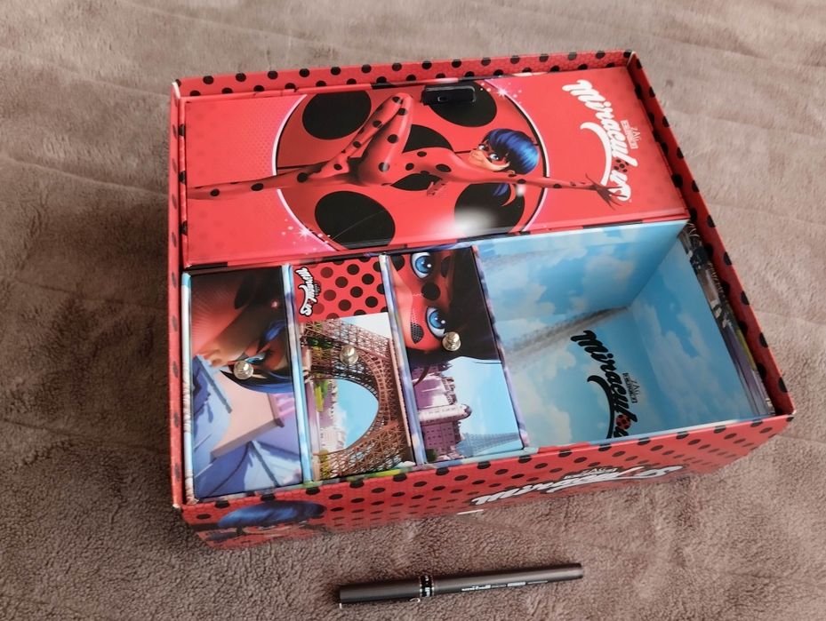 Lady Bug arrumação brinquedo criança