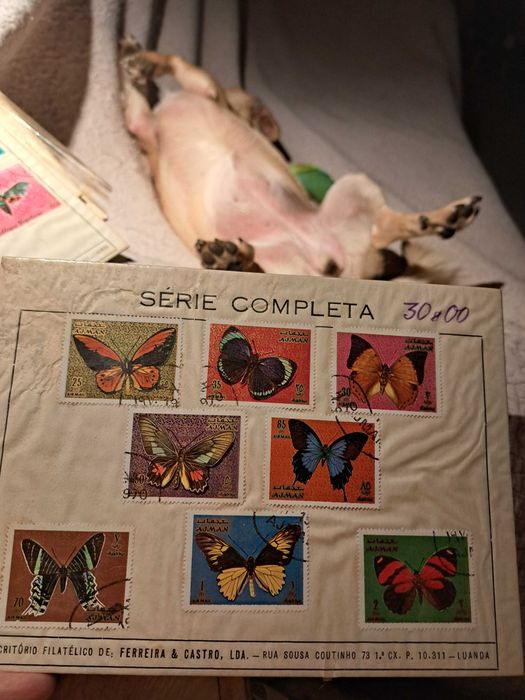 Colecção selos novos