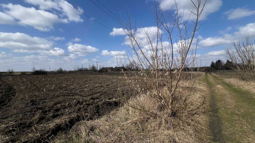 Продаж земельної ділянки, 20 соток, с. Приборівка, вул. Миру