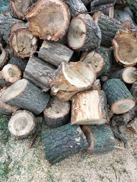 Drewno opałowe liściasty mix