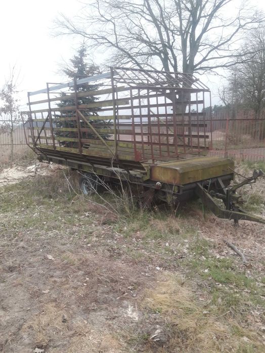 orginalna polska samozbierajaca