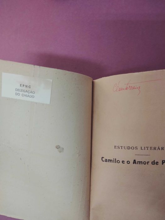 Camilo e o Amor de Perdição - Oldemiro César