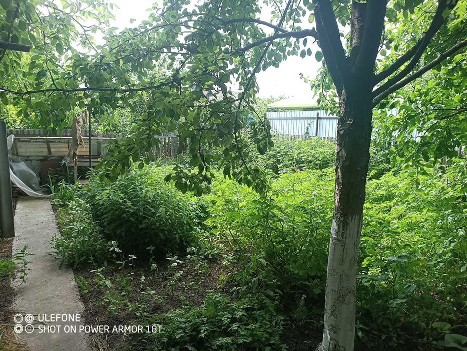 Продаж будинку в Тяжилові