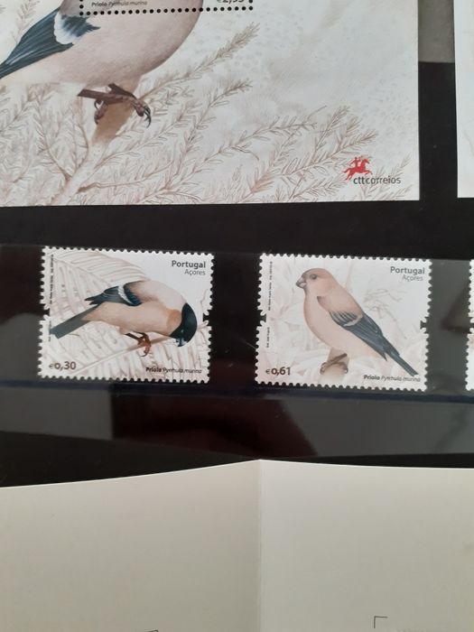 Selos CTT,.priolo 2008