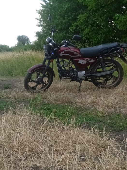 Продам мустанг МТ