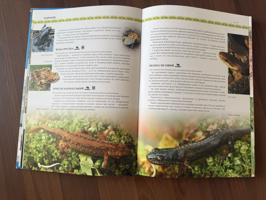 Природа України: тварини, птахи, комахи, риби - гарна енциклопедія